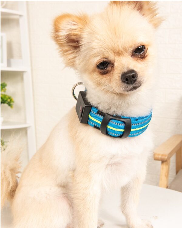 Fiber Optic Waterproof Magnetic Charging Pet Collar - Image 6