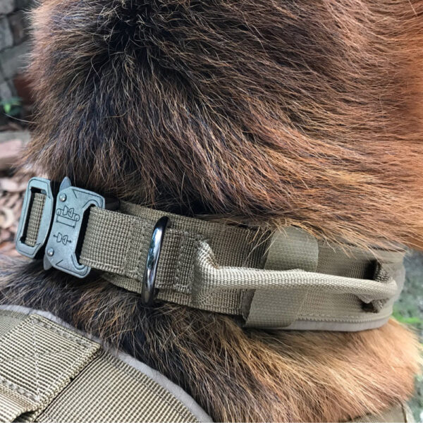 Dog collar - Image 3