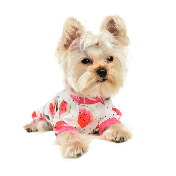 Fashion Dog Watermelon Printing Four-legged Jumpsuit - Image 2