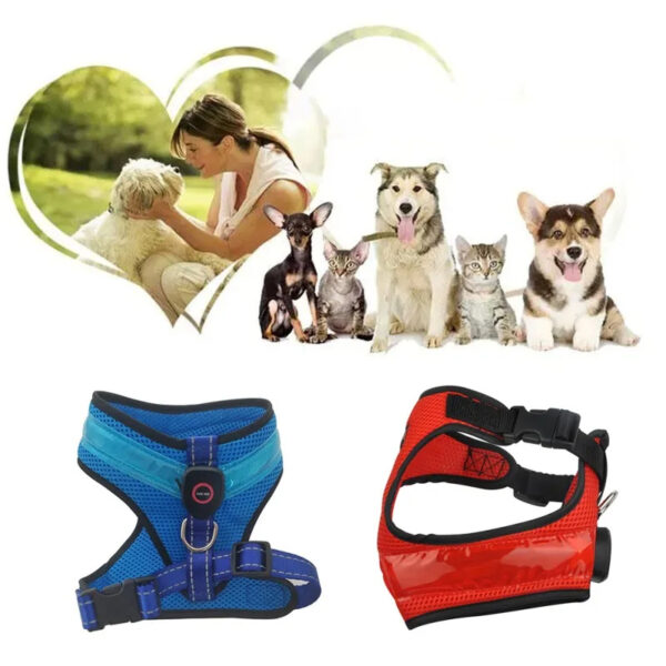 LED Luminous Dog Harness Led USB Charging Dog Chest Strap Vest Pet Safety Reflective Harness Pet Vest For Puppy Large Dog Pet Products - Image 5