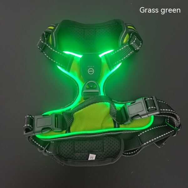New LED Pet Luminous Night Walking Dog Car Accident Prevention Adjustable Flash Dogs And Cats Vest - Image 5